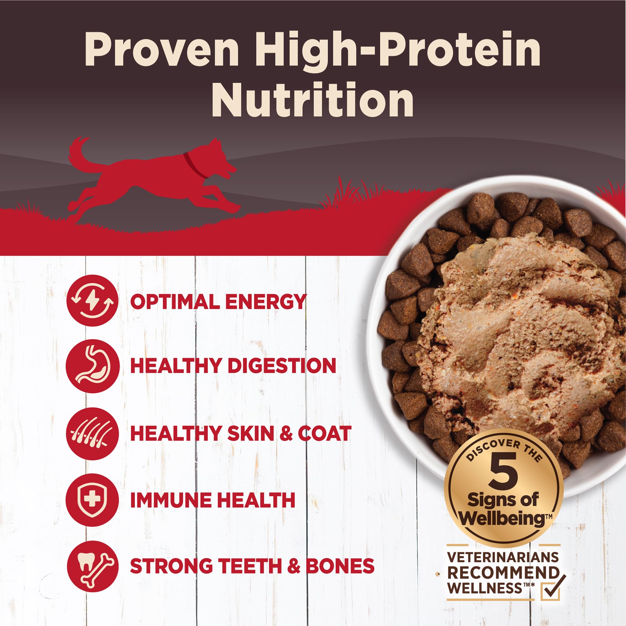 Wellness CORE Pate image emphasizes grain-free formula with premium protein for active dogs