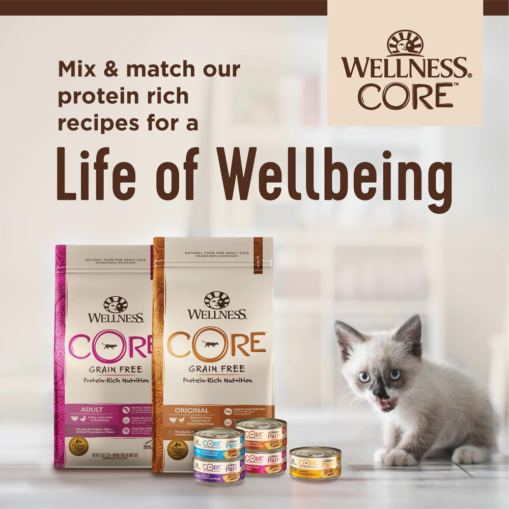 Wellness Core kitten pate serving as a satisfying meal option.