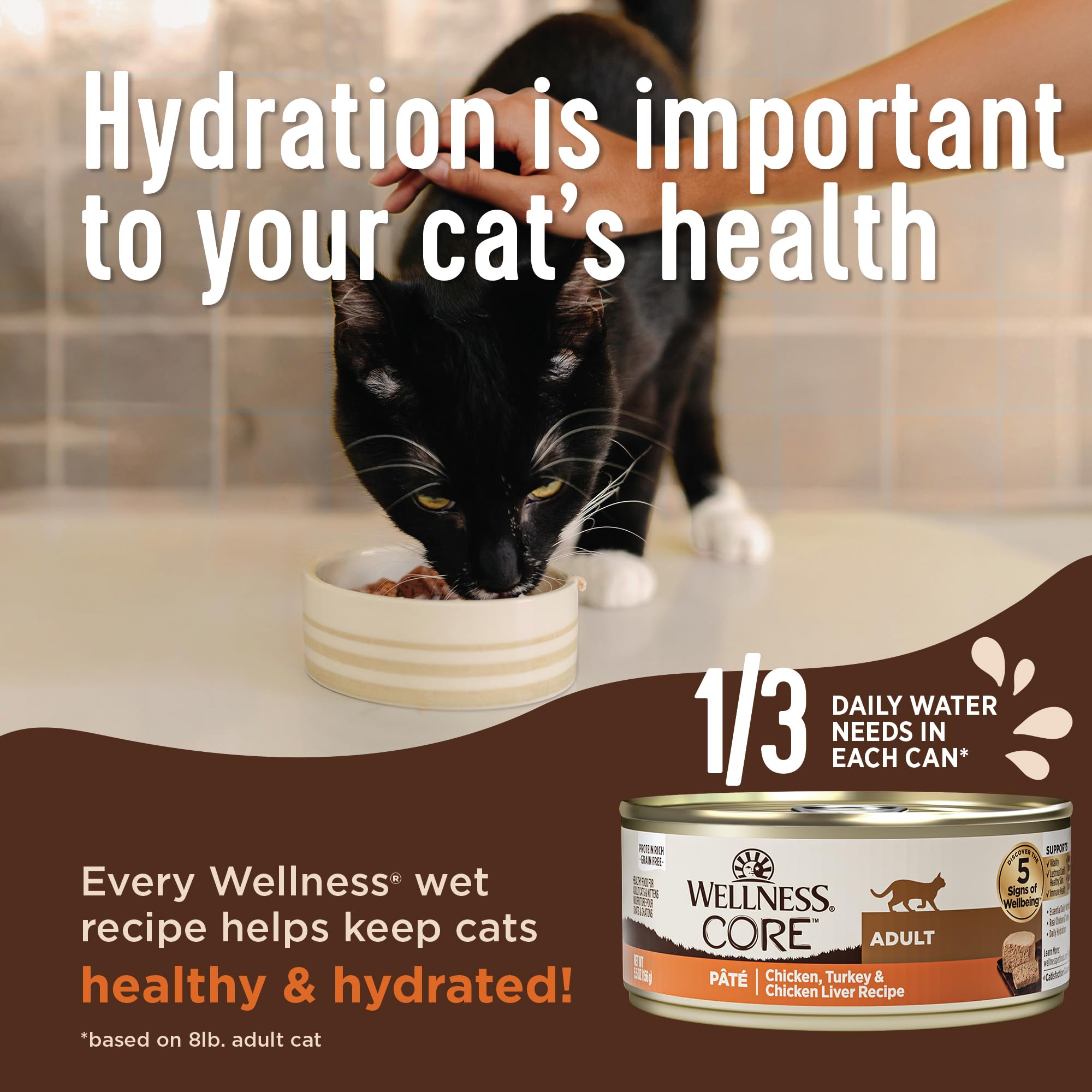 Wellness Core pate open can served in bowl, inviting meal.