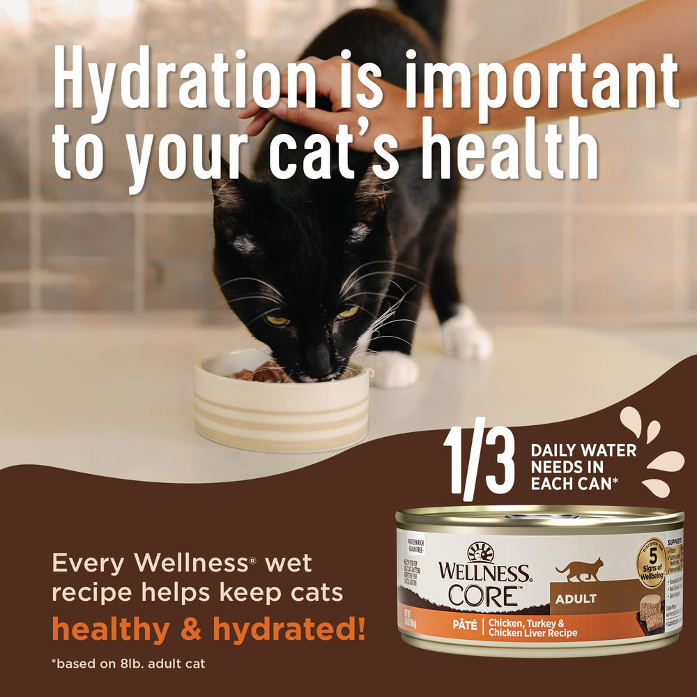 Wellness Core pate open can served in bowl, inviting meal.