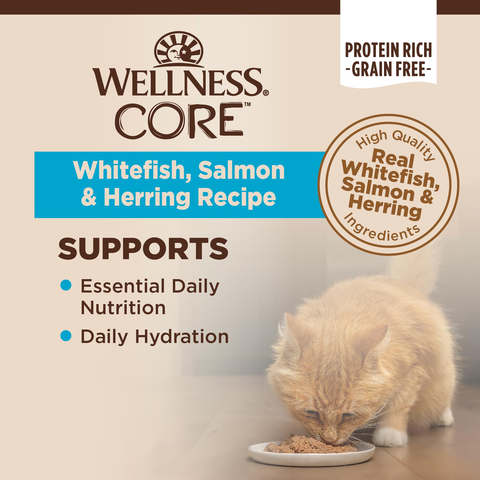Wellness Core pate close-up texture highlights smooth pâté appeal.