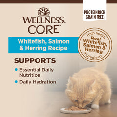 Wellness Core pate close-up texture highlights smooth pâté appeal.