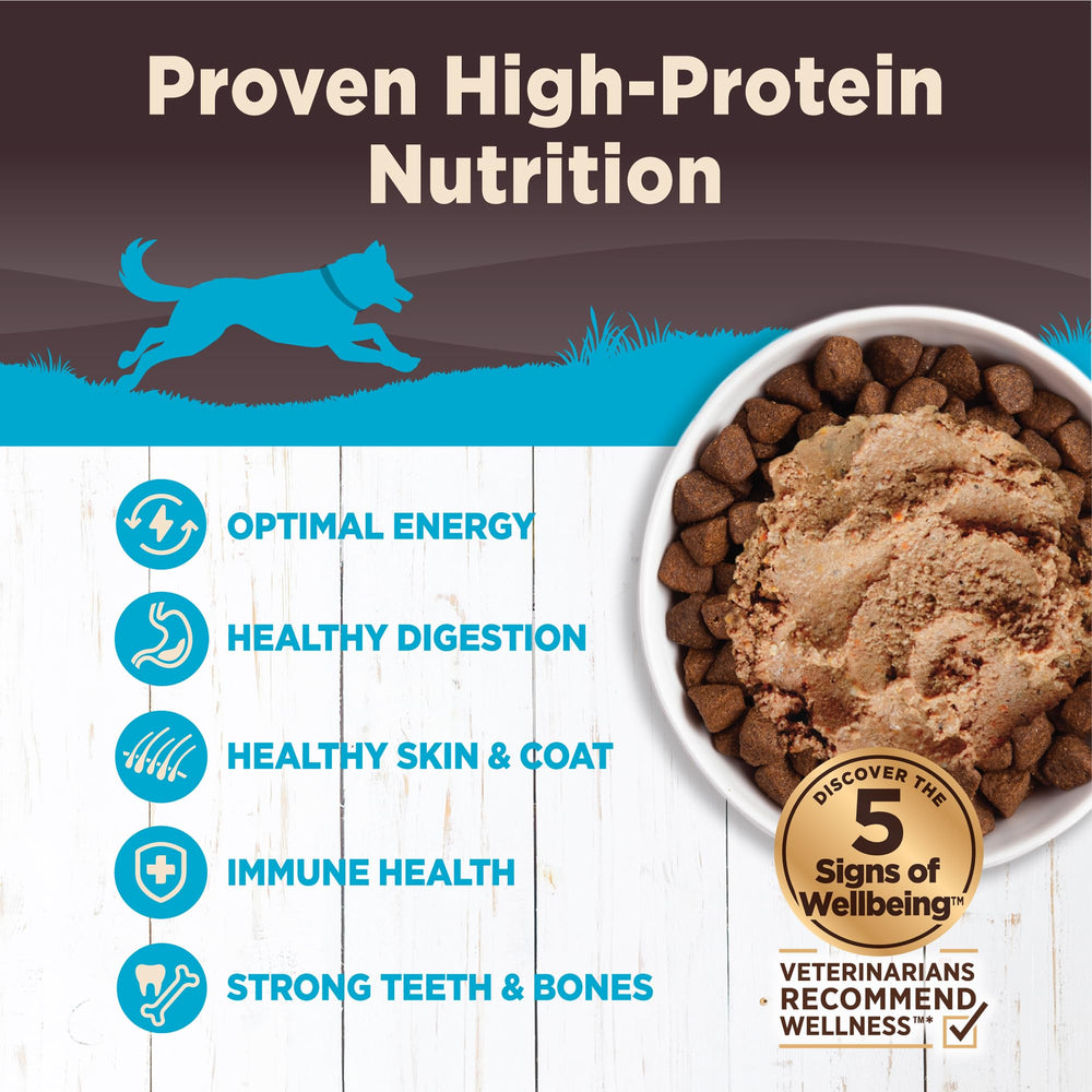 Wellness CORE Pate whitefish salmon herring close-up highlights real fish proteins for balanced nutrition