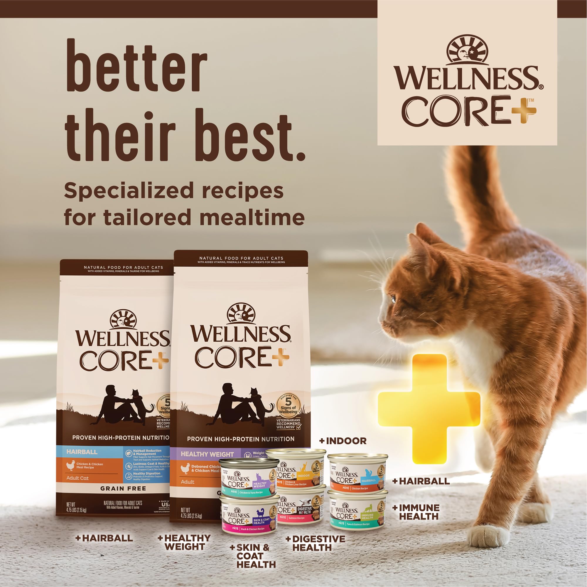 Wellness CORE+ 4.75 lb bag ready for everyday cat feeding.
