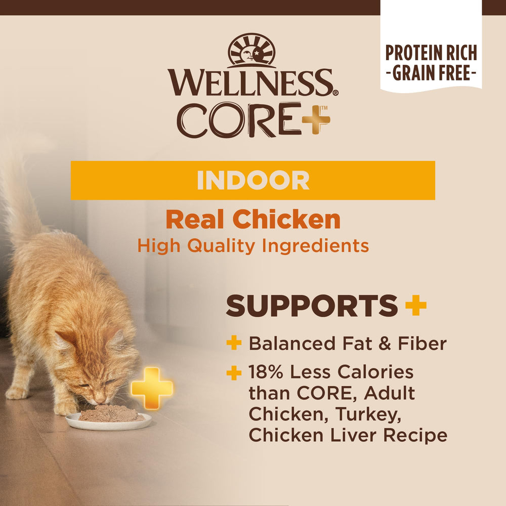 Wellness CORE+ Cat Eating Pate demonstrates appealing texture for picky indoor cats.