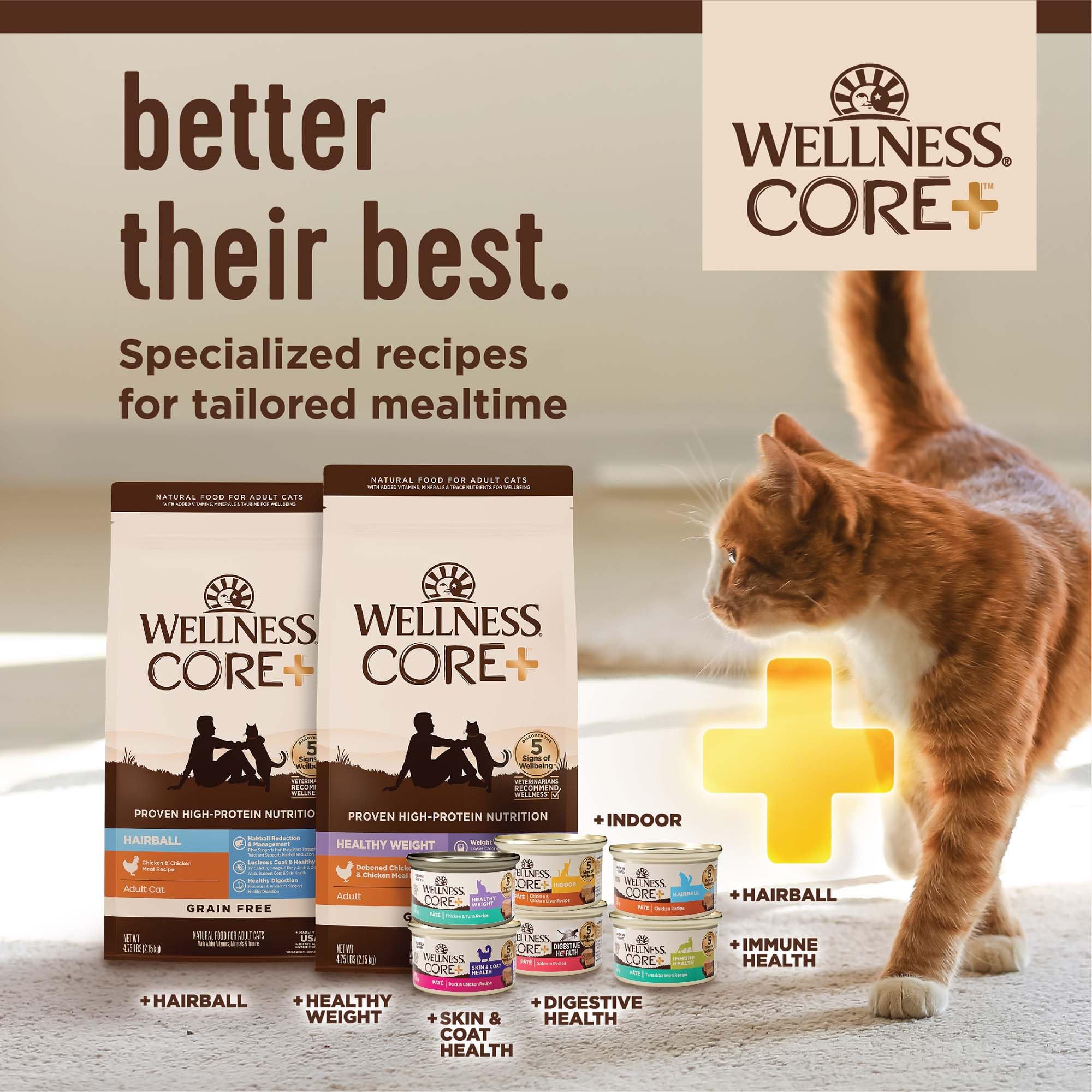 Wellness CORE+ cat with shiny coat image demonstrates healthy-looking coat.