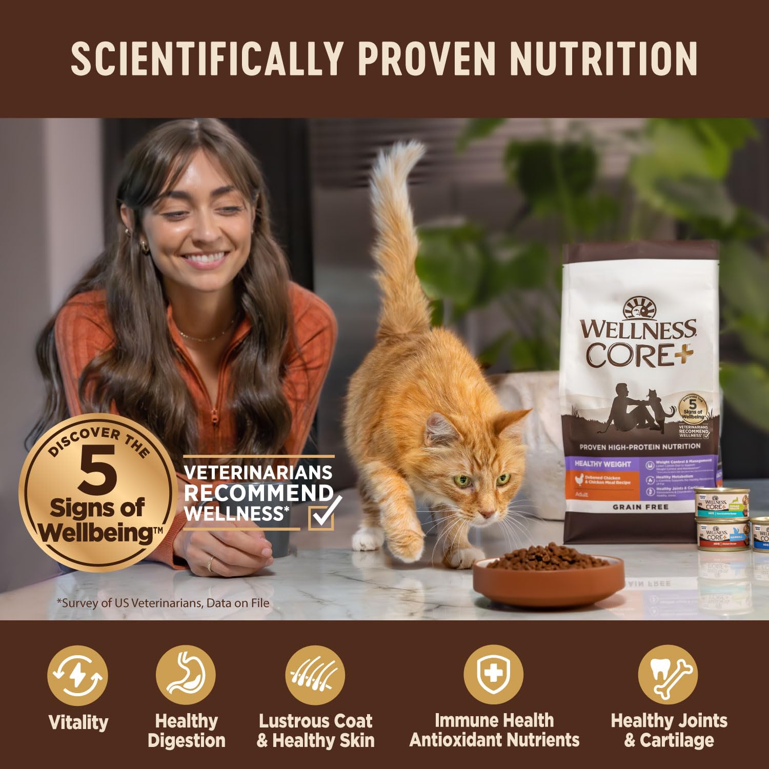 Wellness CORE+ chicken and rice kibble in a bowl for balanced protein-rich nutrition.