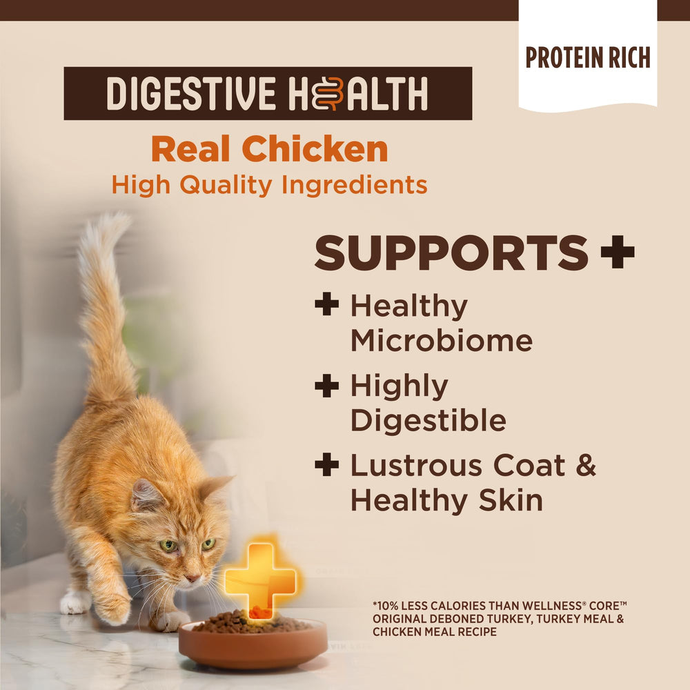 Wellness CORE+ digestive health kibble close-up shows texture.