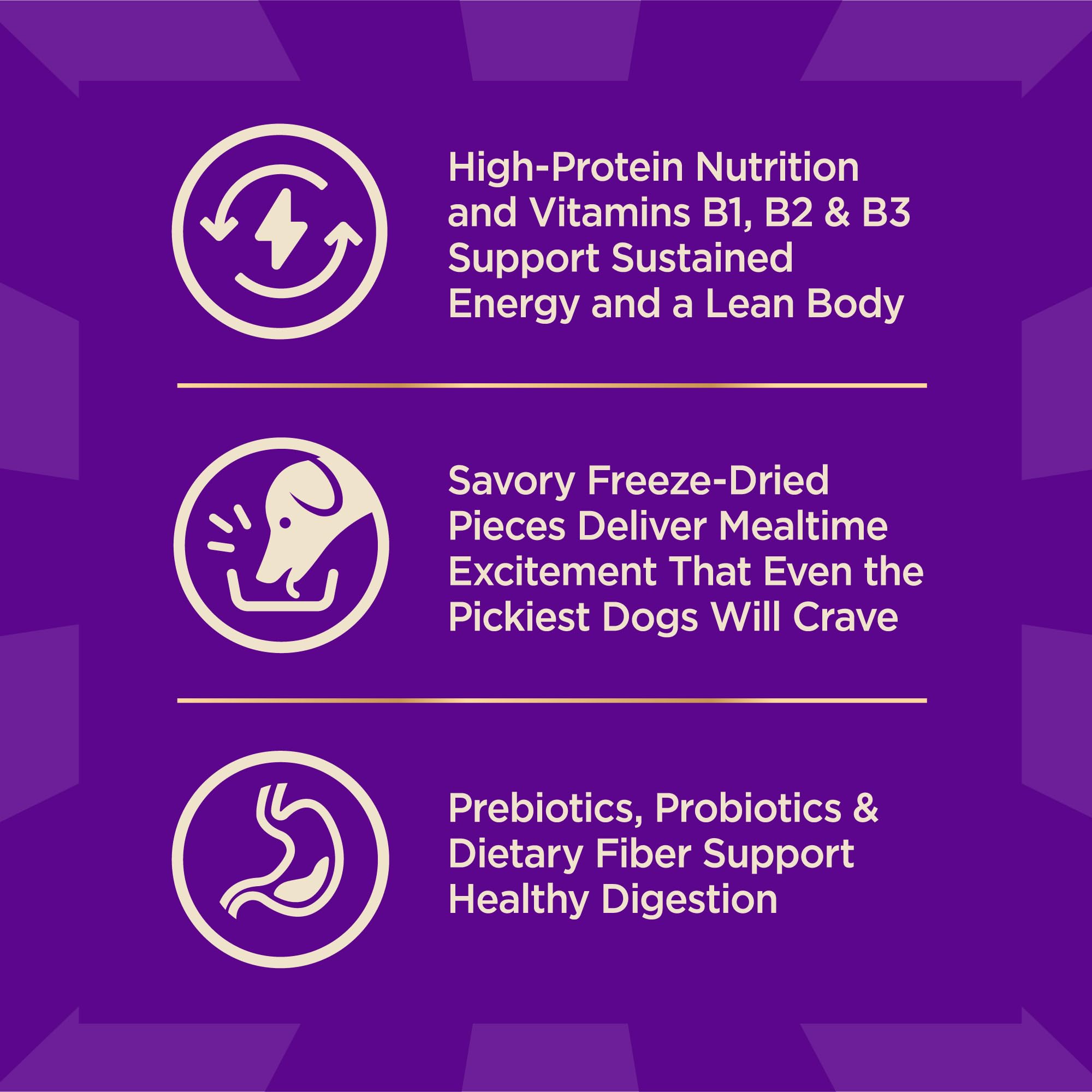 Wellness CORE+ digestive-health-probiotics close-up: probiotics for digestive wellness