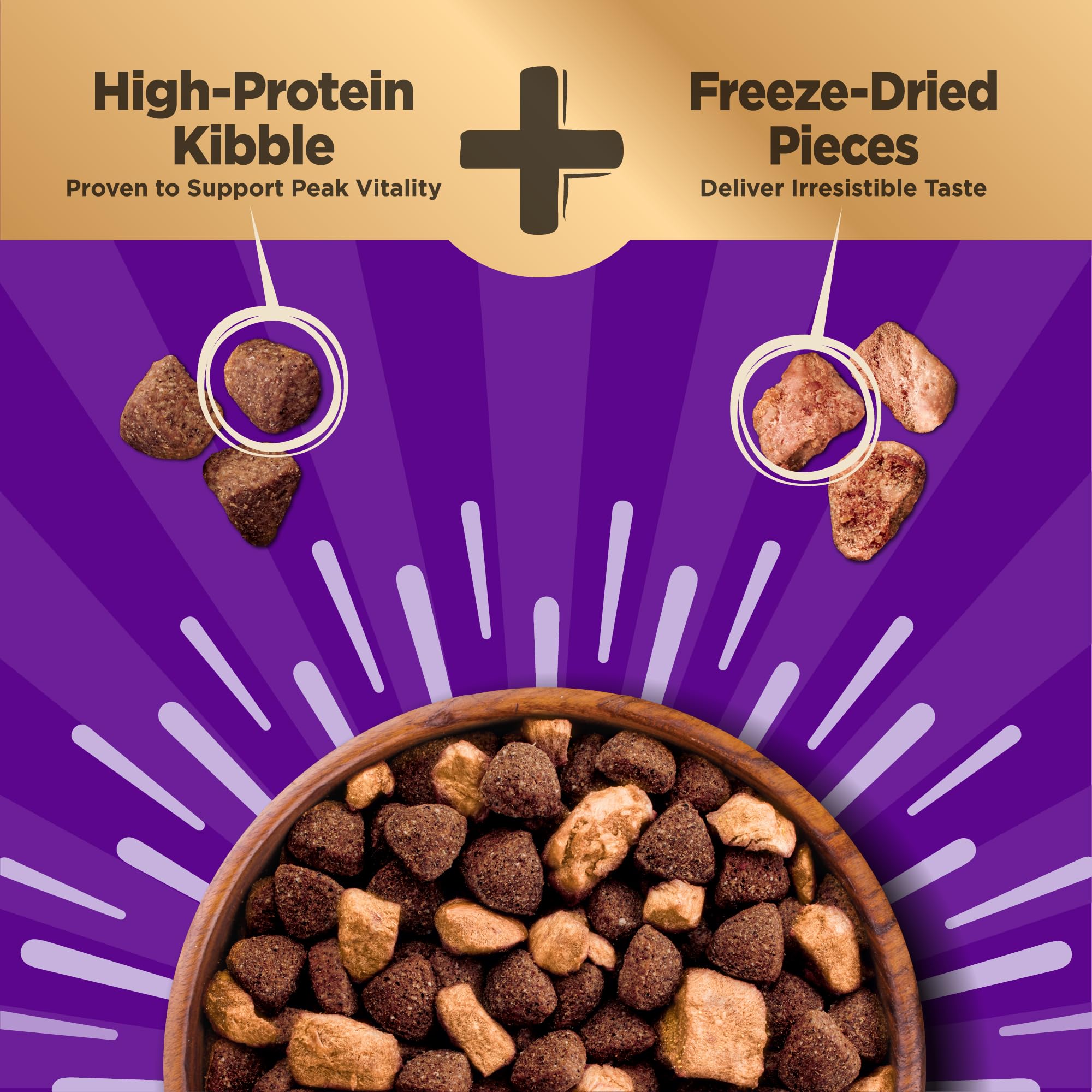 Dog enjoys Wellness CORE+ meal to illustrate appetizing texture in real life.