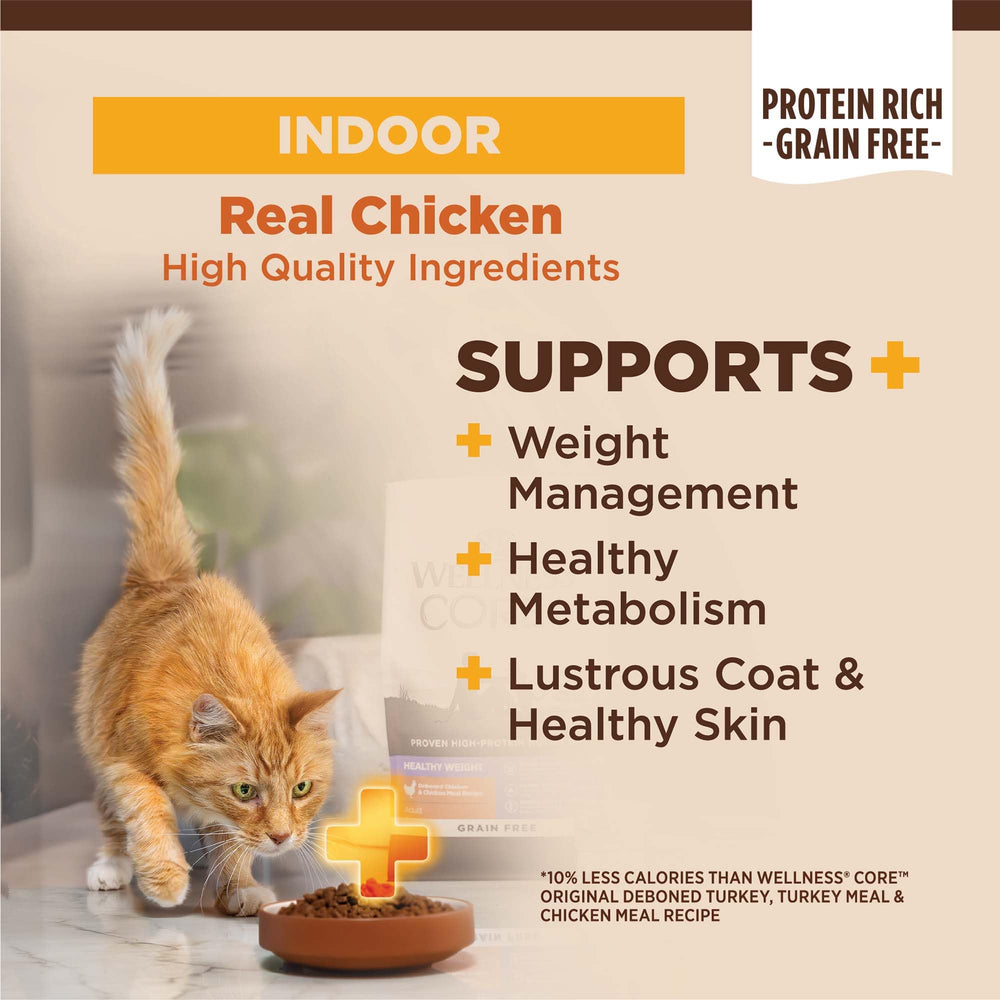 Wellness CORE+ dry kibble closeup highlights meat-forward flavor for cats.