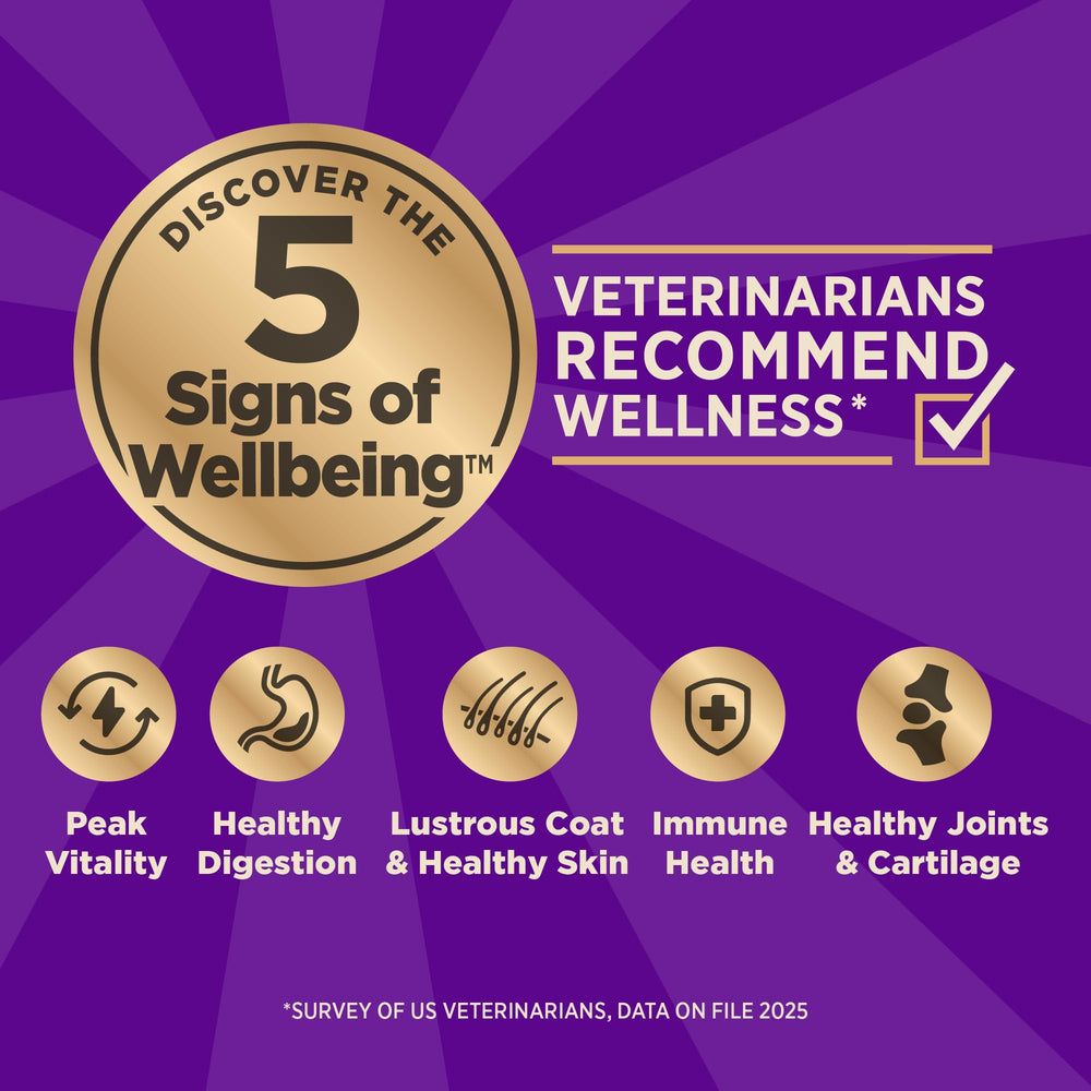 Wellness CORE+ freeze-dried lamb pieces close-up showing high-protein texture.