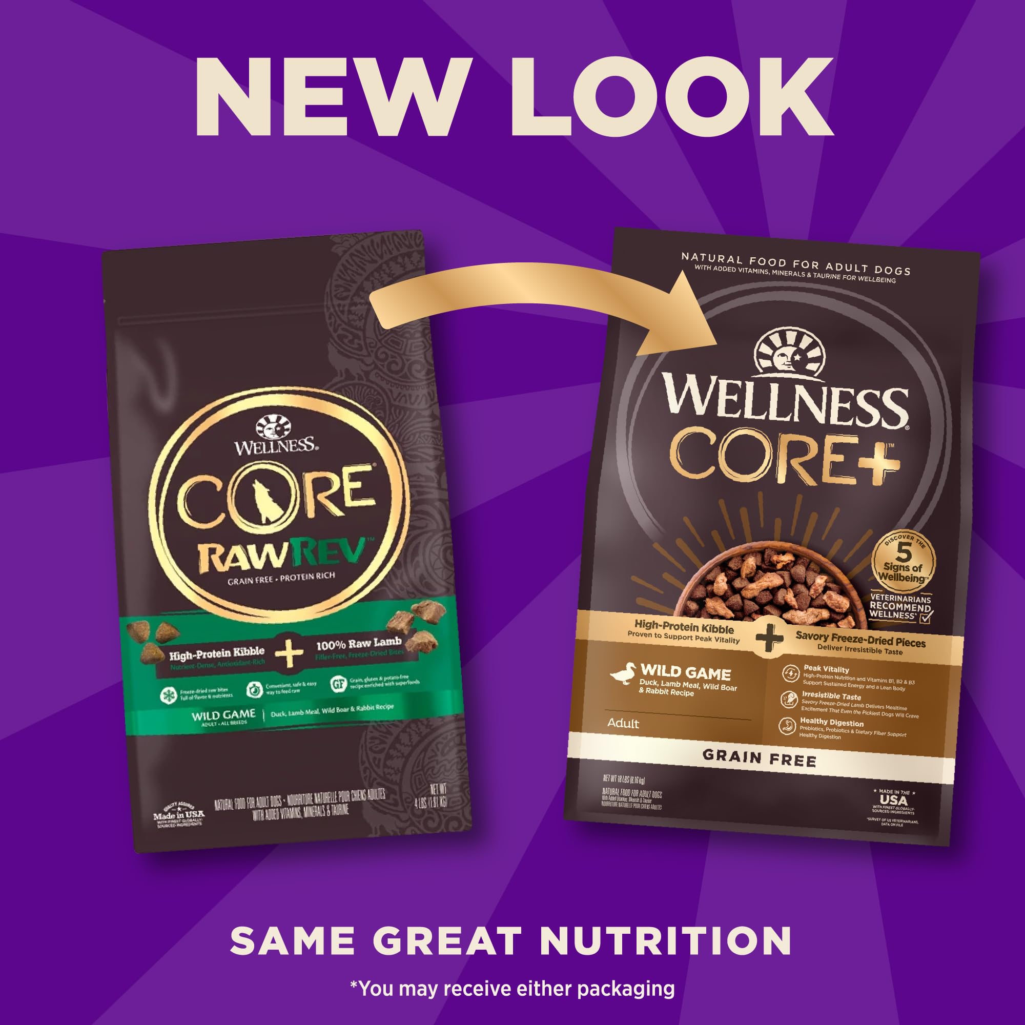 Wellness CORE+ grain-free kibble in bowl for easy fueling and digestion.
