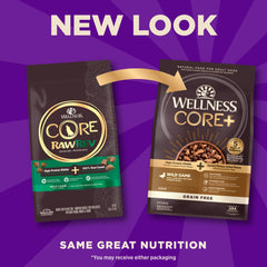 Wellness CORE+ grain-free kibble in bowl for easy fueling and digestion.