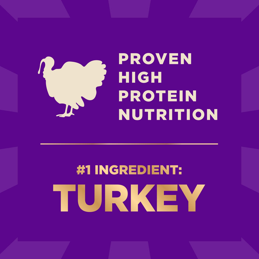 Wellness CORE+ Grain-free kibble supports digestion with high-protein nutrition for active dogs.