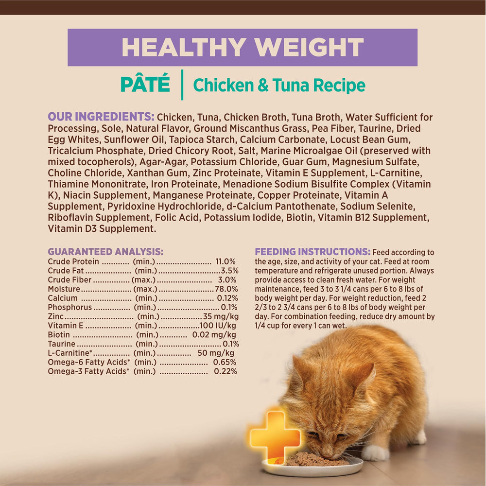 Wellness CORE+ pate cat enjoying meal showcases real ingredients and savor.