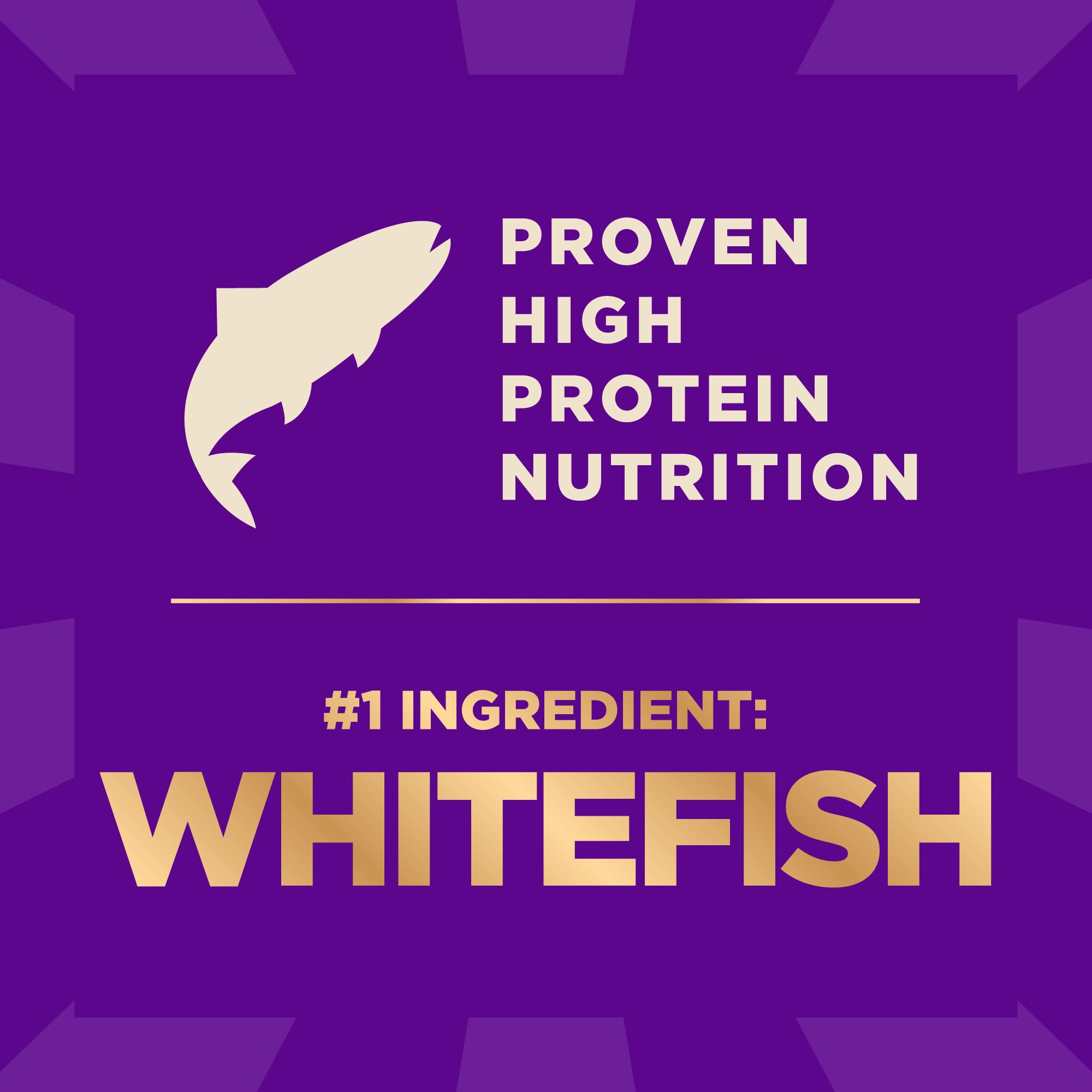 Wellness CORE+ high-protein-recipe-kibble close-up: supports lean muscle with balanced nutrition