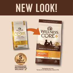 Wellness CORE+ turkey and chicken recipe kibble in a bowl for active indoor cats.