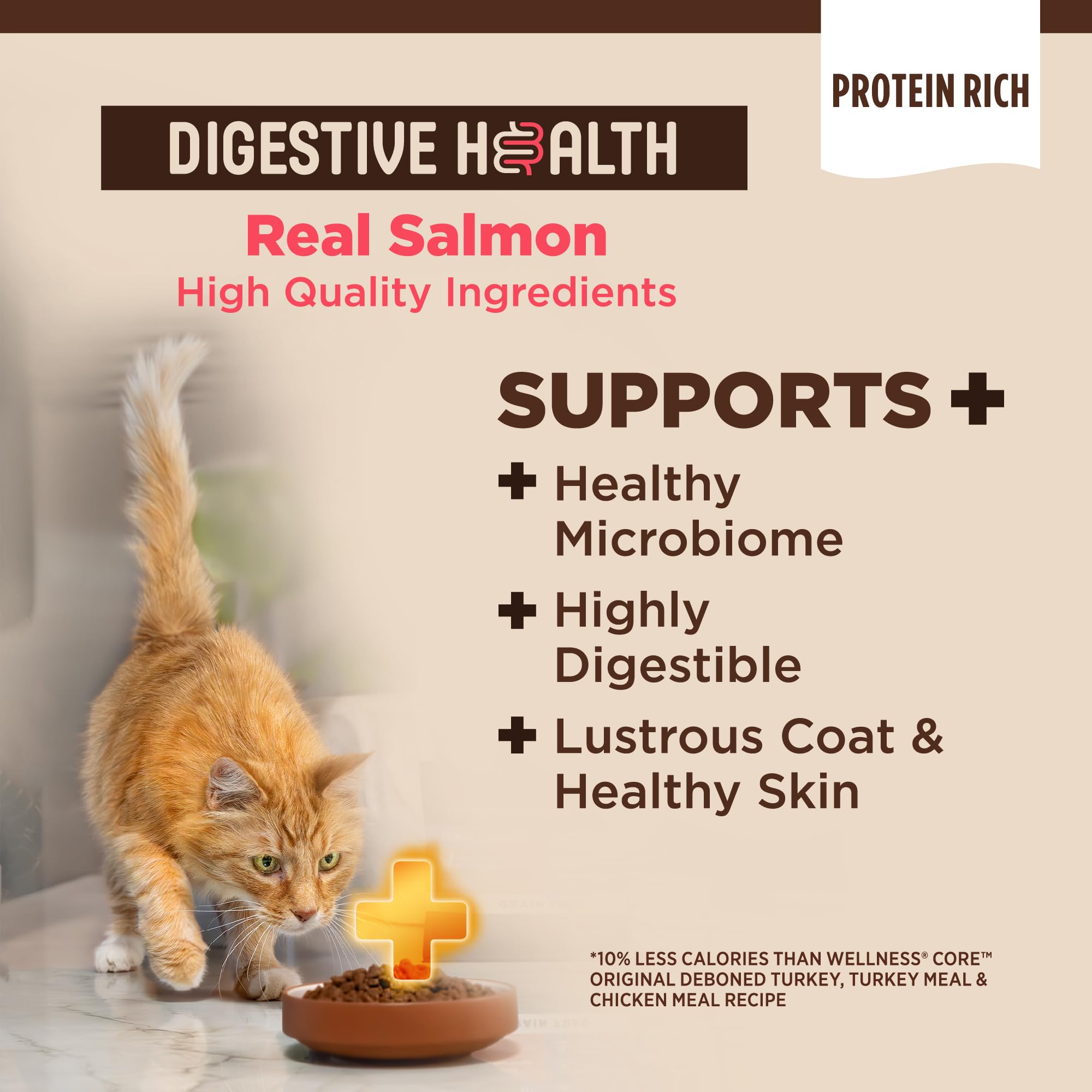 Close-up of probiotic-coated Wellness CORE+ kibble showcasing texture for daily meals