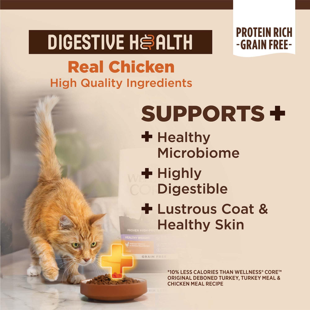 Closeup of Wellness CORE+ probiotic-coated kibble highlighting gut health support.