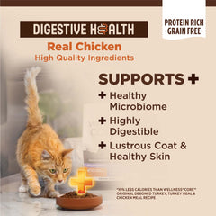 Closeup of Wellness CORE+ probiotic-coated kibble highlighting gut health support.