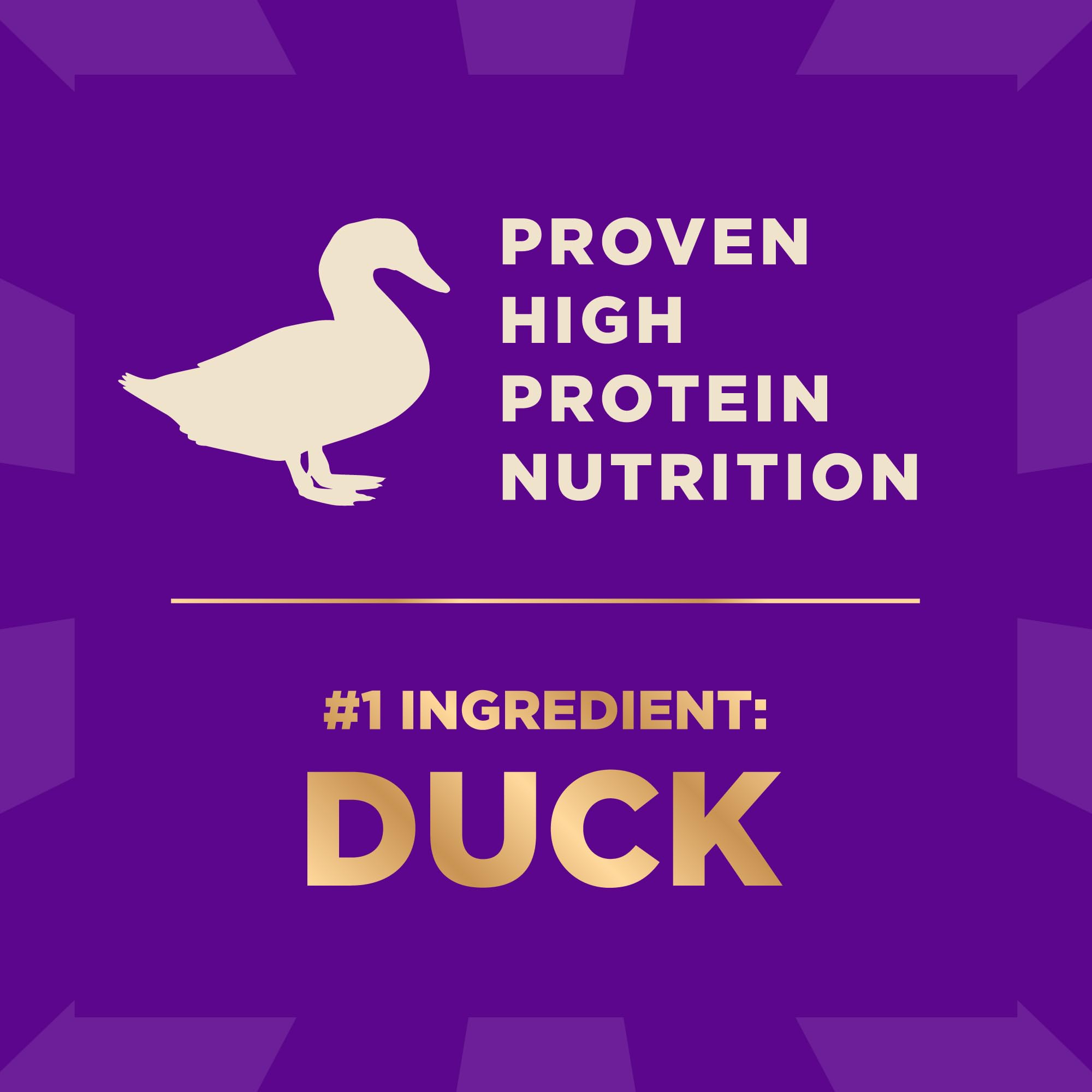 Wellness CORE+ raw bites on kibble for flavorful, protein-dense feeding.