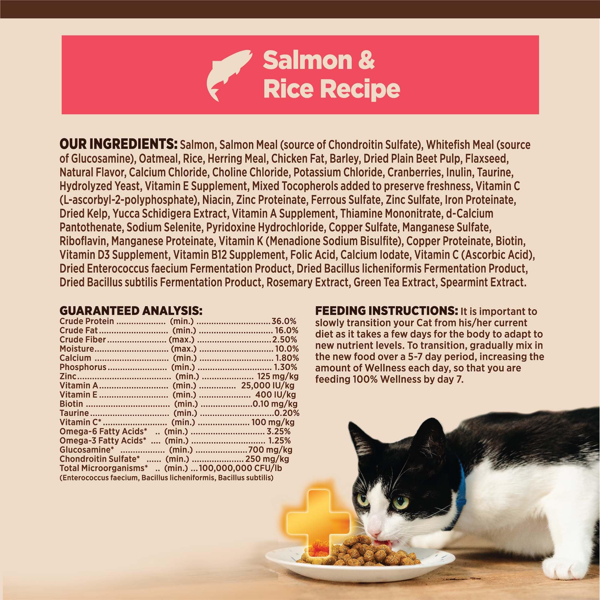 Kibble aroma and texture from Wellness CORE+ tempt even selective eaters