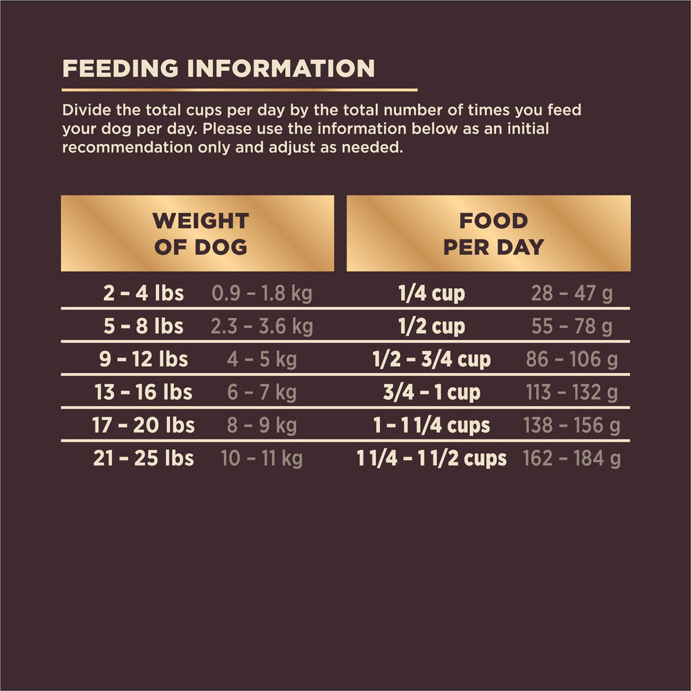 Wellness CORE+ small-breed bag ready for daily feeding