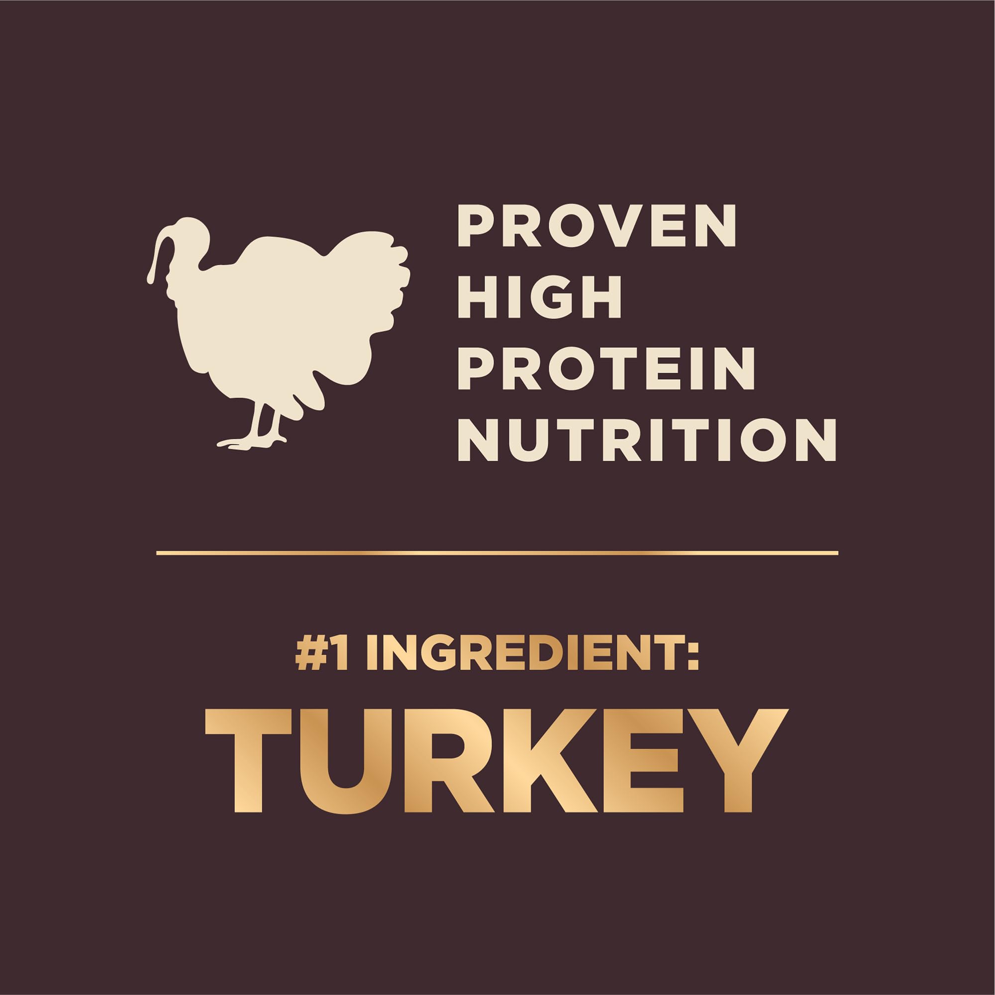 Wellness CORE+ small-breed kibble close-up highlighting high-protein formula