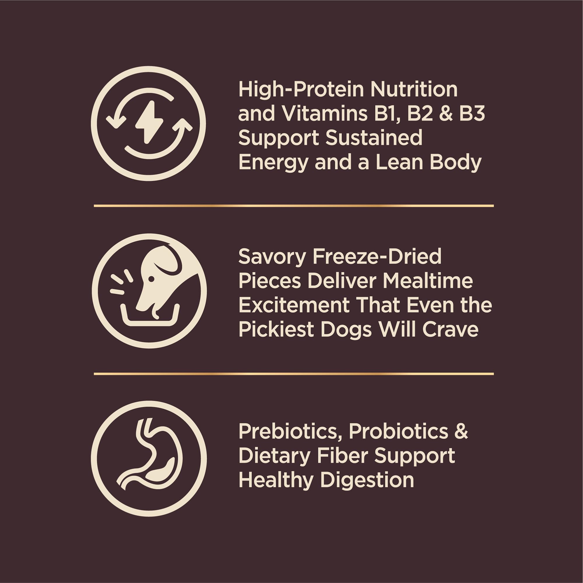Serving bowl of Wellness CORE+ small-breed meal ready to serve