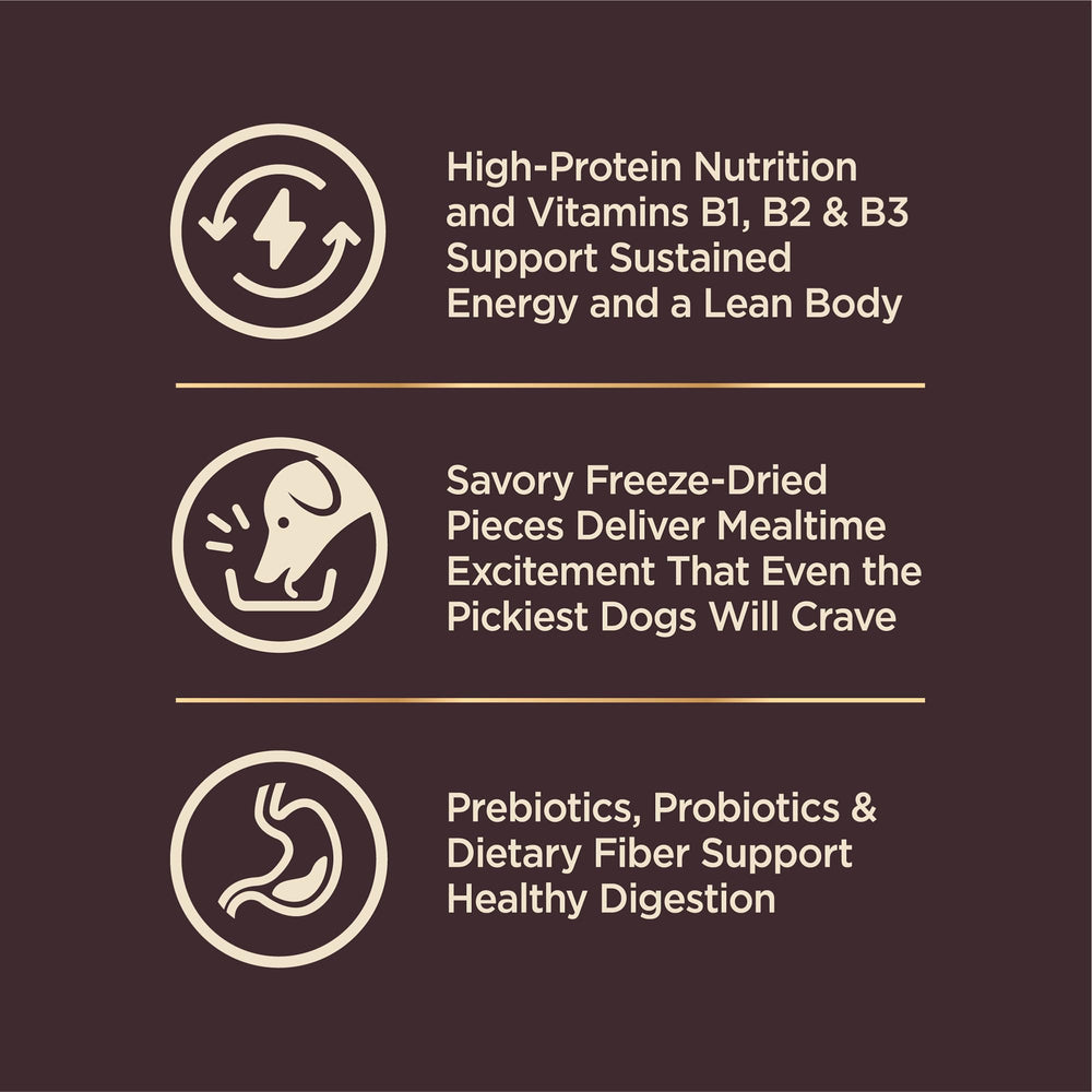 Serving bowl of Wellness CORE+ small-breed meal ready to serve
