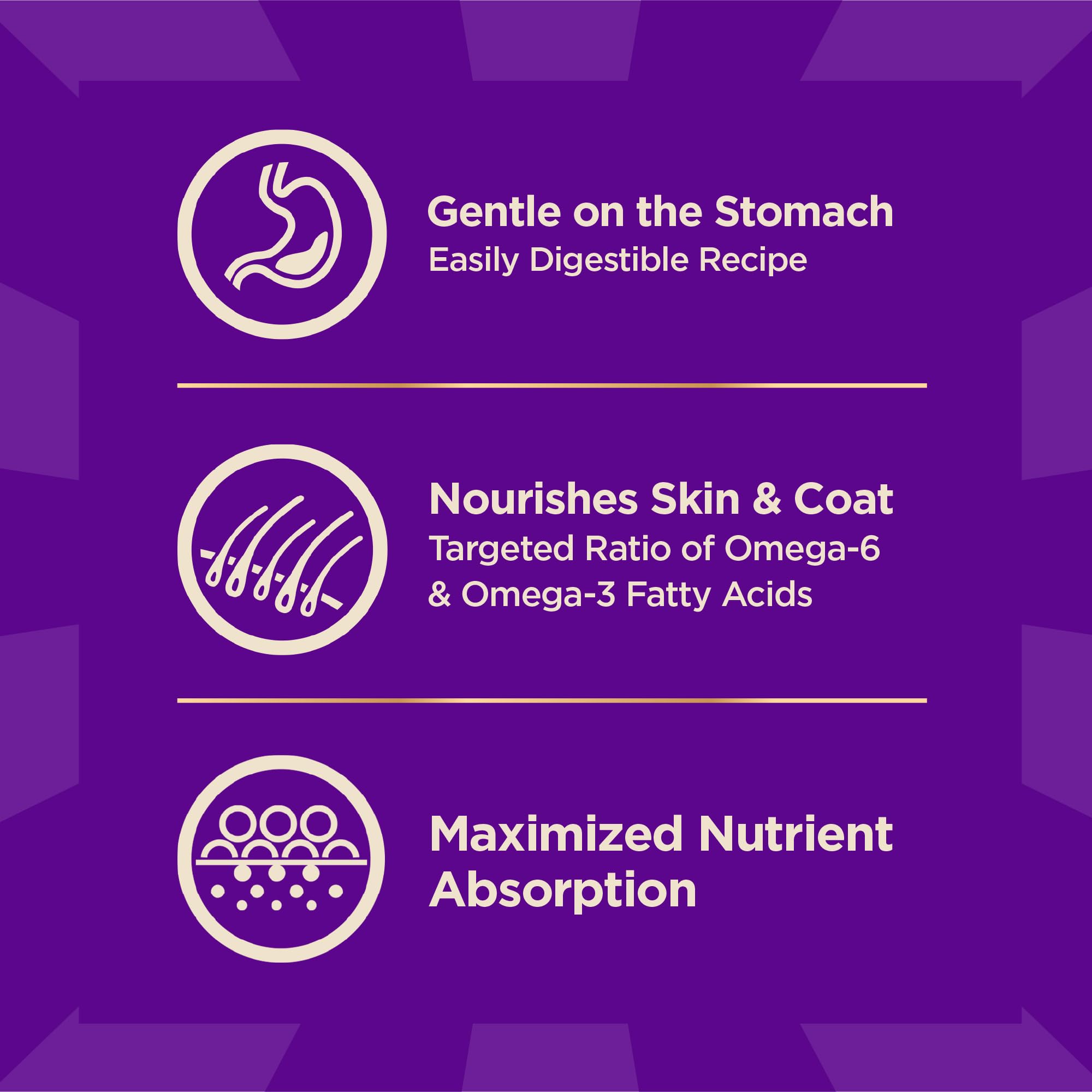 Wellness CORE+ taurine supports heart health in dogs