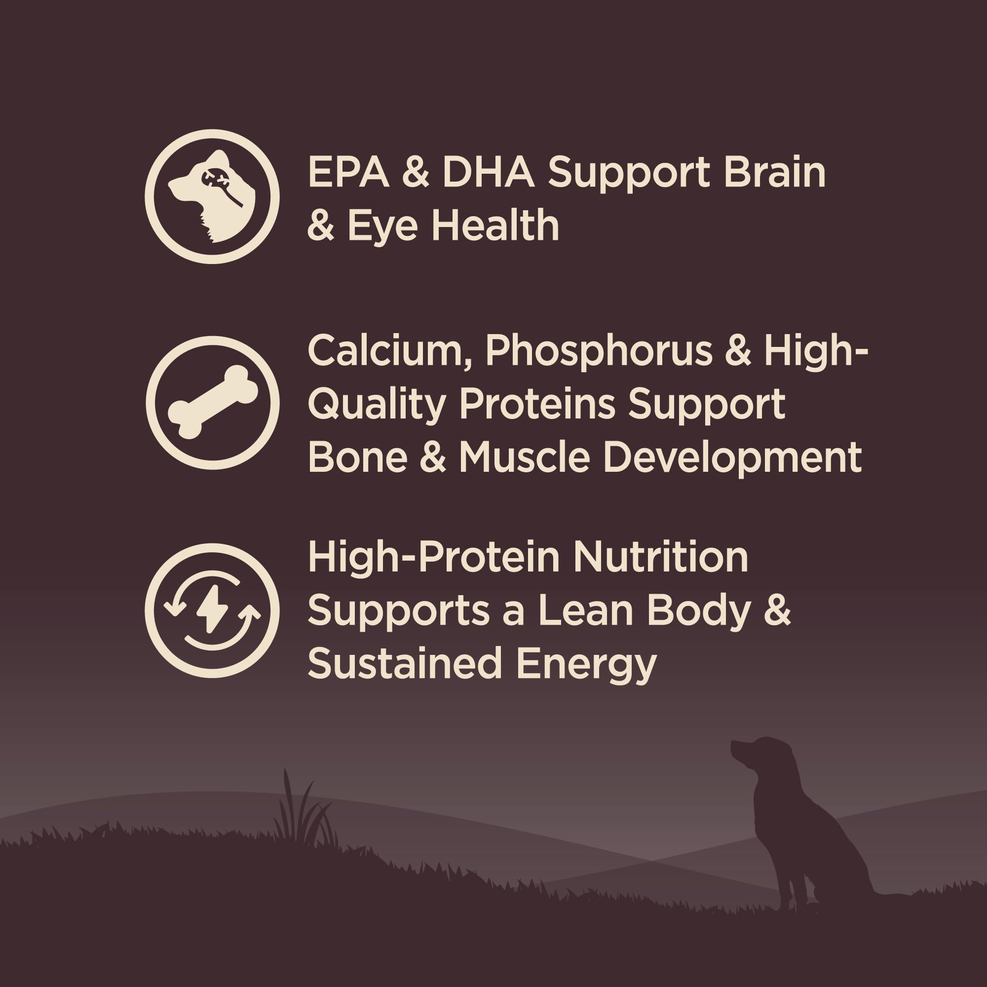 Wellness CORE protein emphasis; 53% protein ingredients for lean muscle.