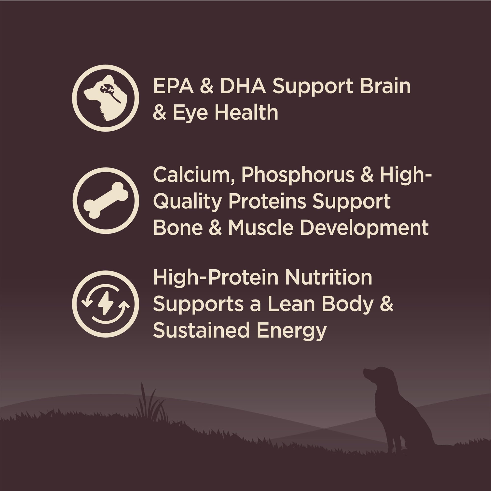 Wellness Core Puppy calcium and phosphorus graphic—strong bones.