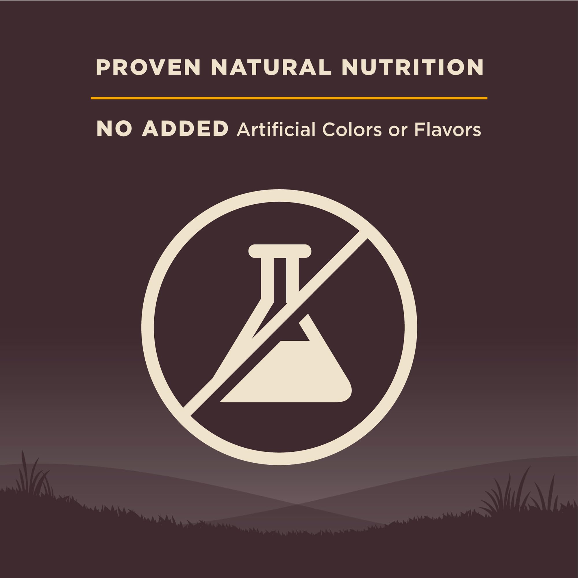 Wellness Core Puppy ingredients label—natural, non-GMO components.