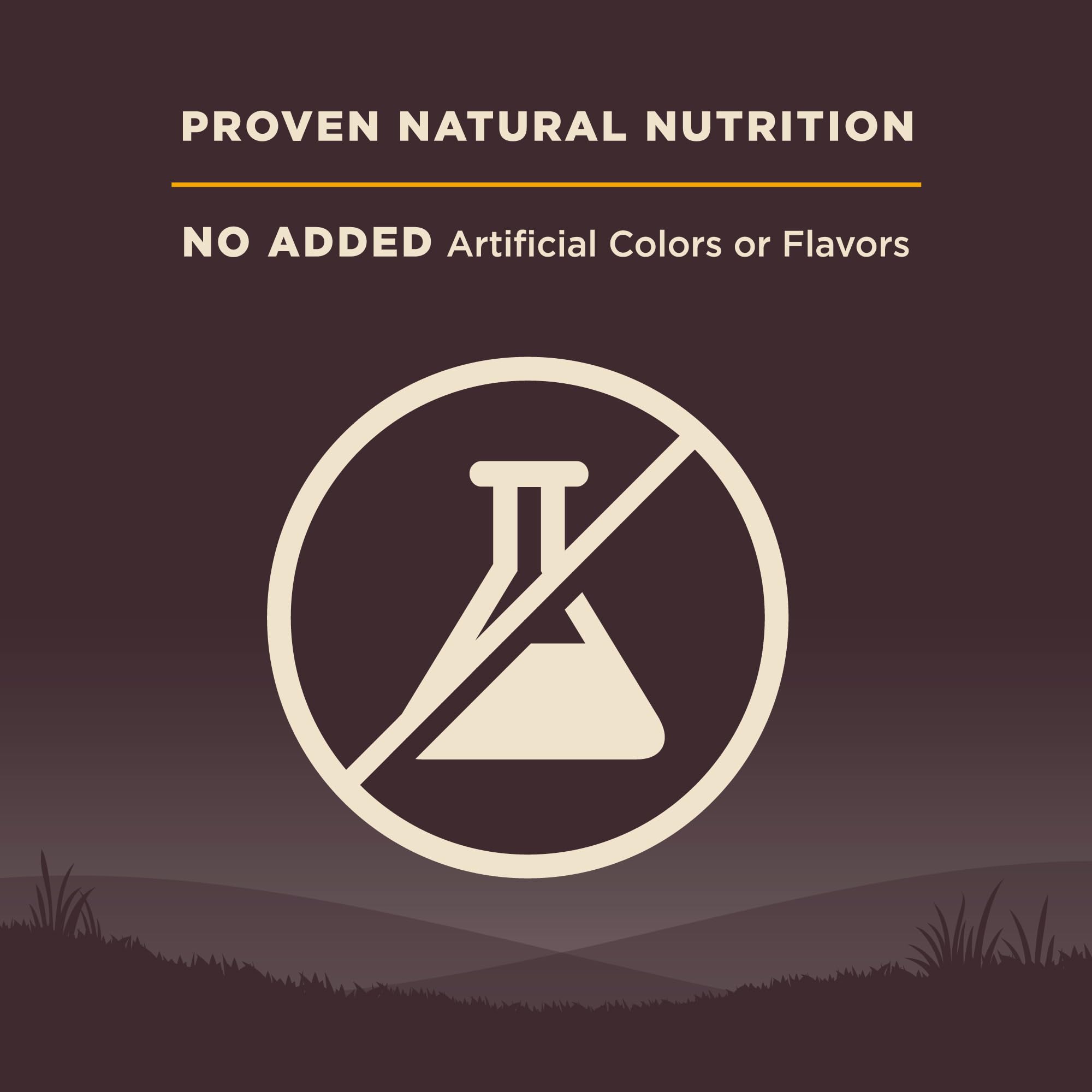 Wellness CORE puppy probiotics, digestive health support