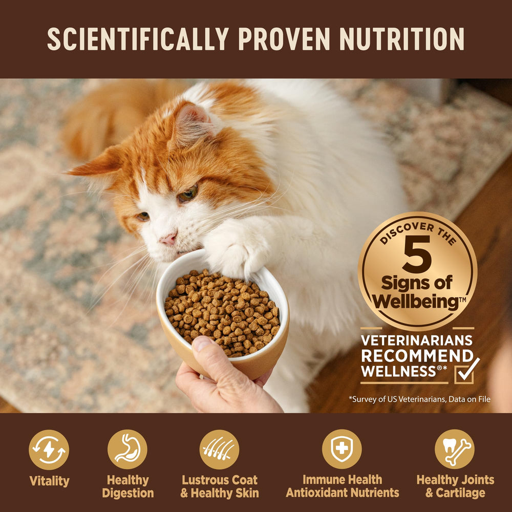 Wellness CORE serving bowl with kibble texture for active cats.