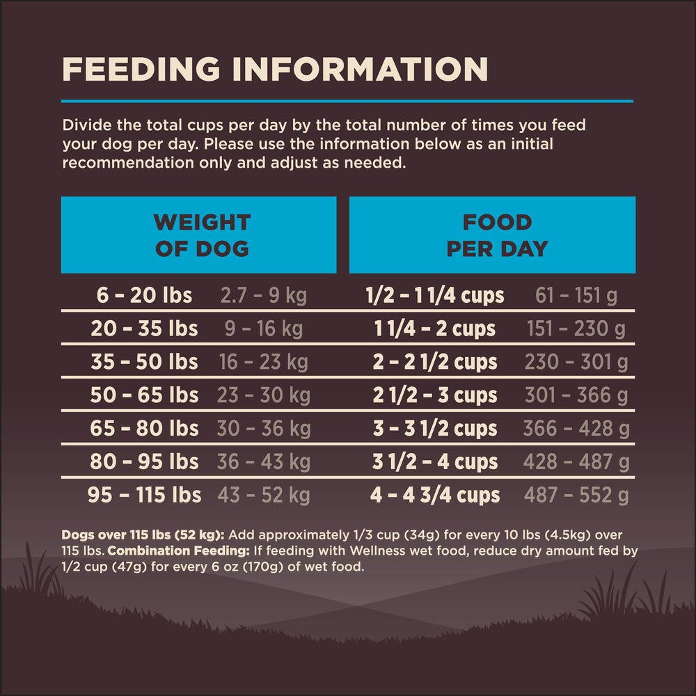 Wellness CORE serving time in home setting with dog meal.