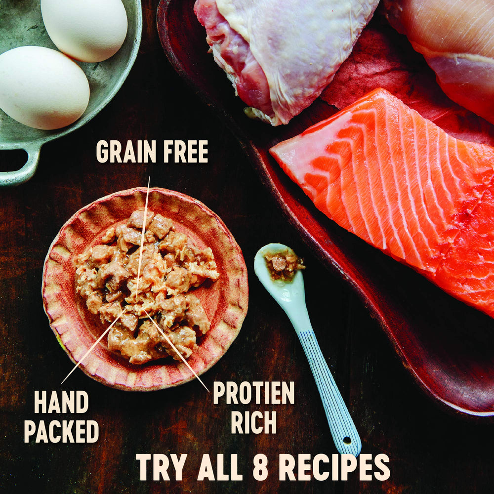 Wellness CORE Signature Selects cans lined up highlight grain-free, meat-forward nutrition.