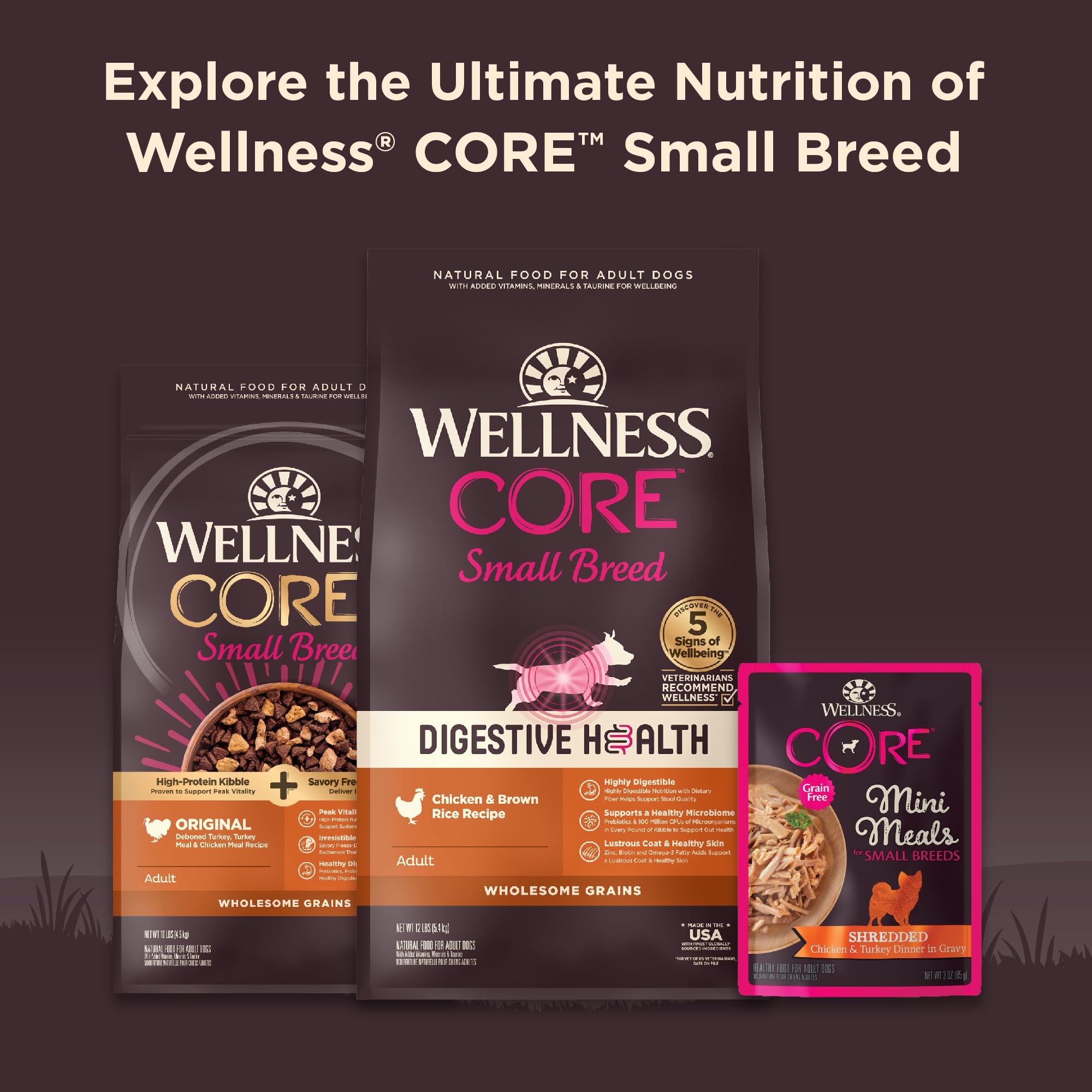Wellness CORE single serve pouch image for easy portion control