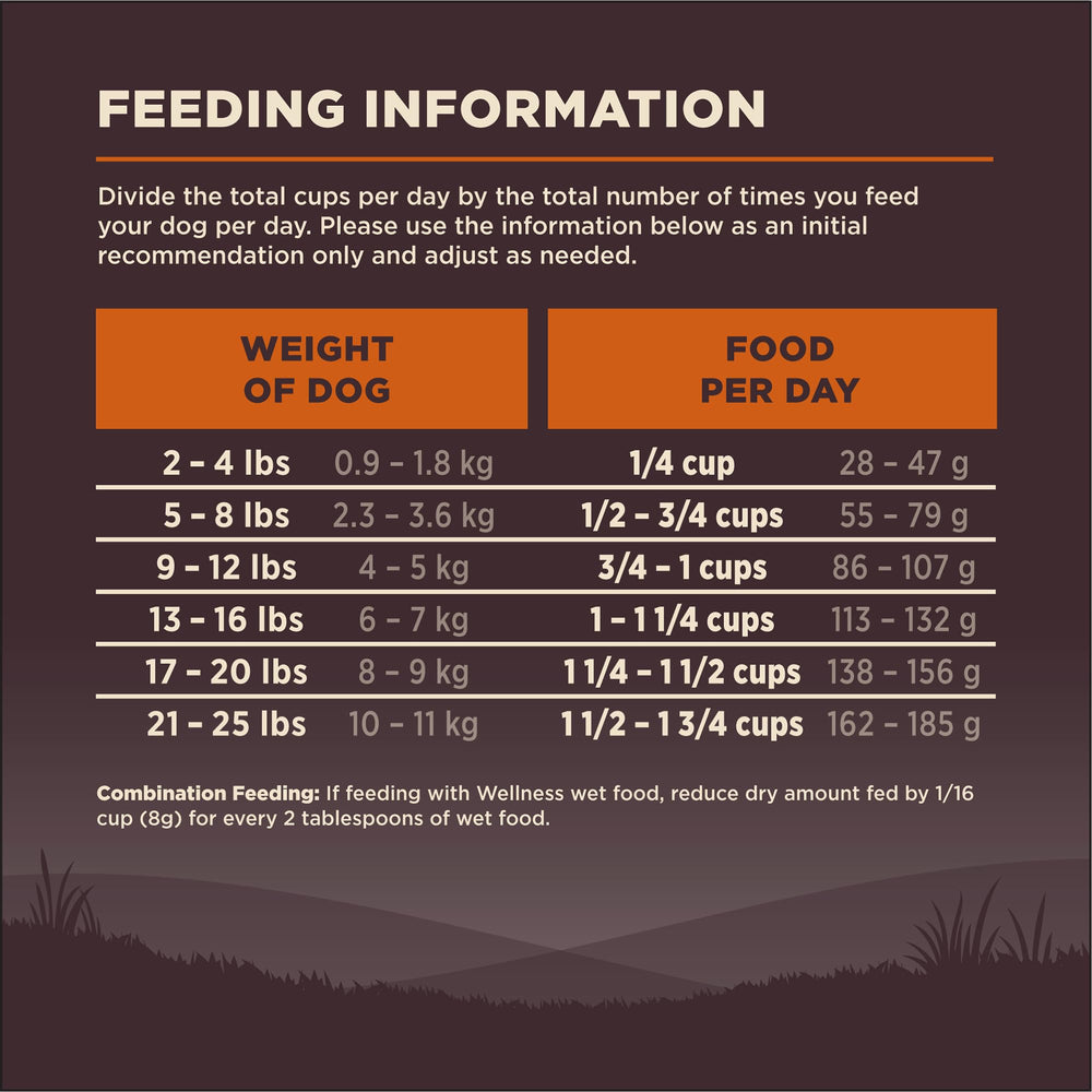 Family-friendly feeding time with Wellness CORE for small breeds.