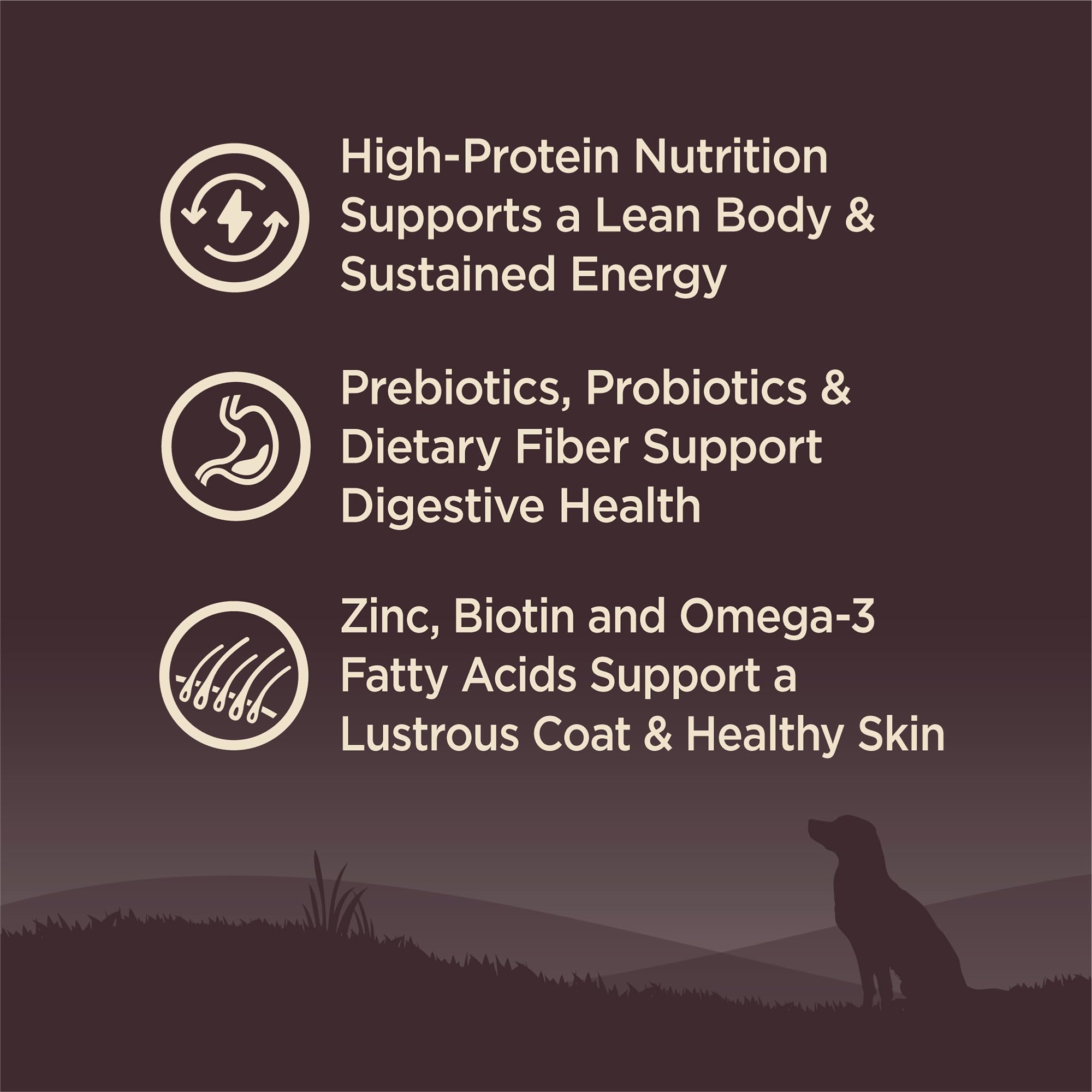 Omega fatty acids in Wellness Core small breed for healthy skin and coat