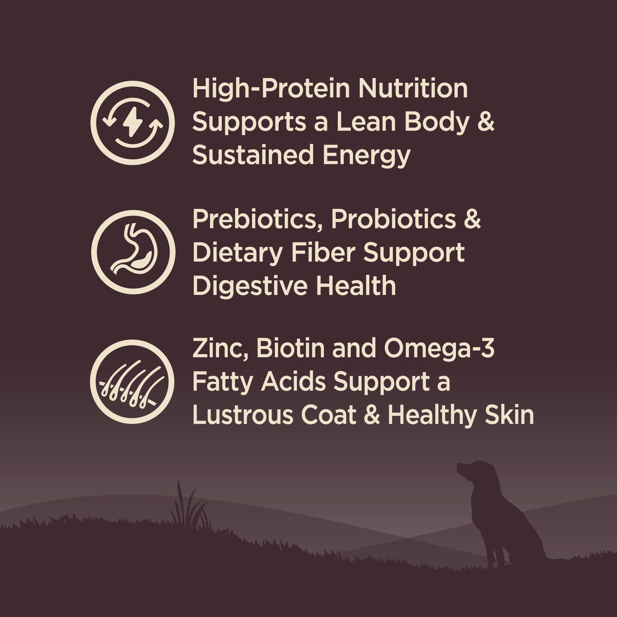 Wellness CORE kibble with superfoods supports digestive balance