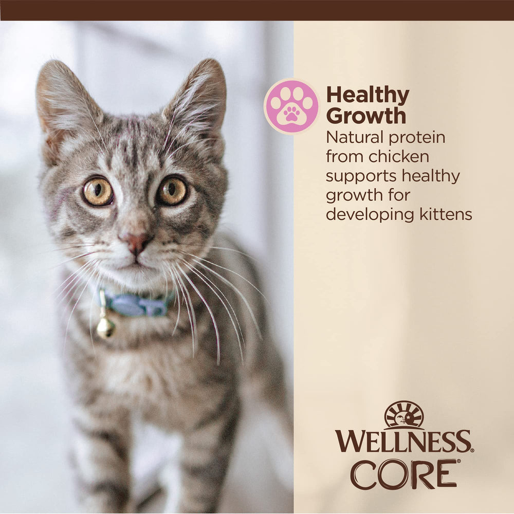 Wellness Core Tiny Tasters kitten 1.75 oz pack for kittens