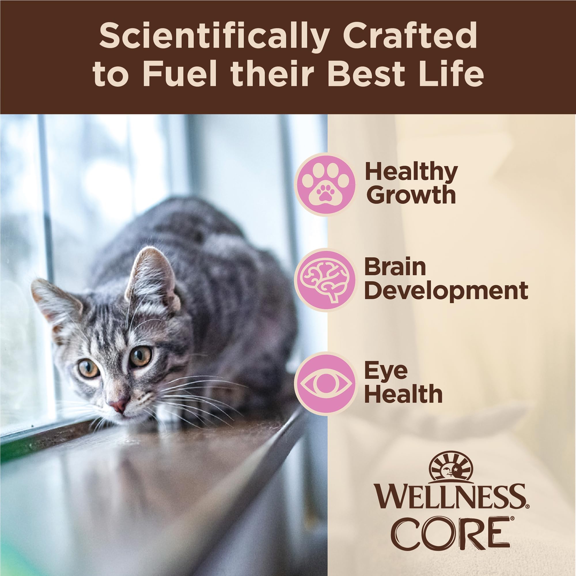Wellness Core Tiny Tasters kitten grain-free ingredients for balanced nutrition