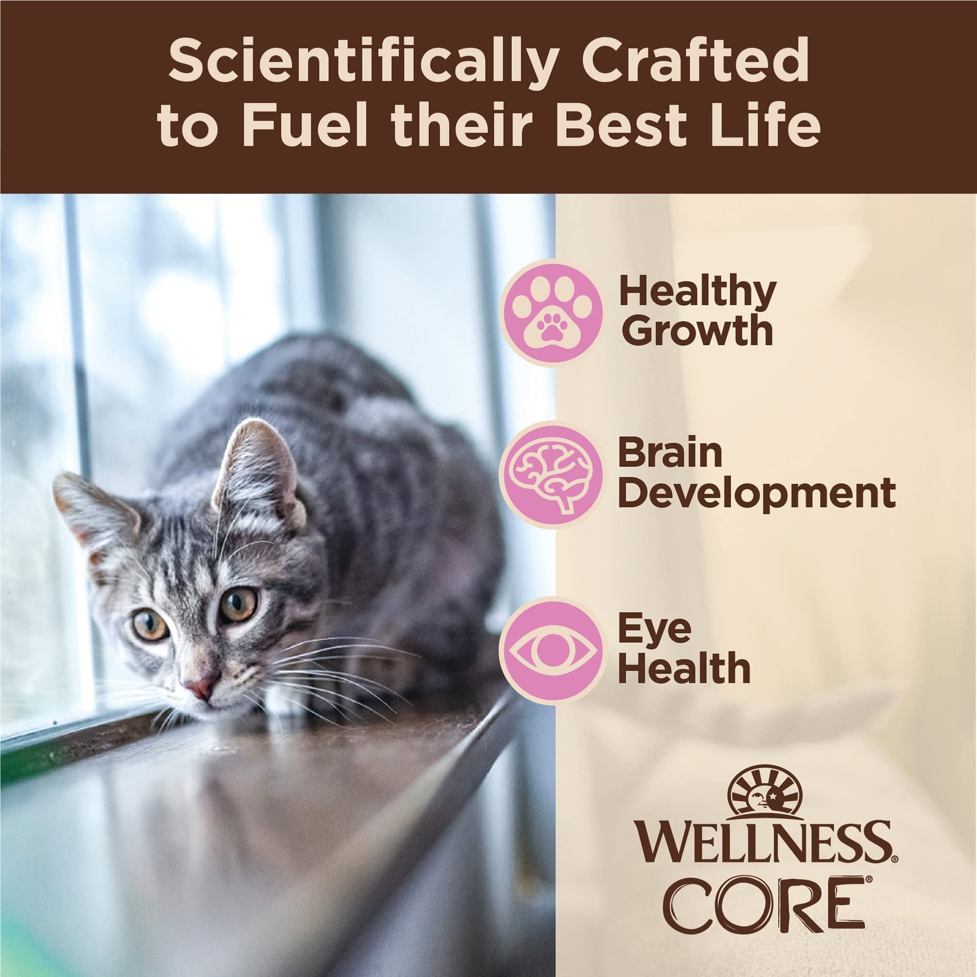 Wellness CORE Tiny Tasters kitten pate chicken grain-free option