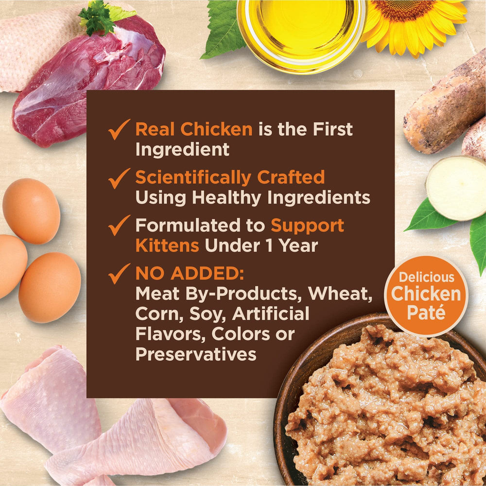 Wellness CORE Tiny Tasters kitten pate texture closeup for palatability