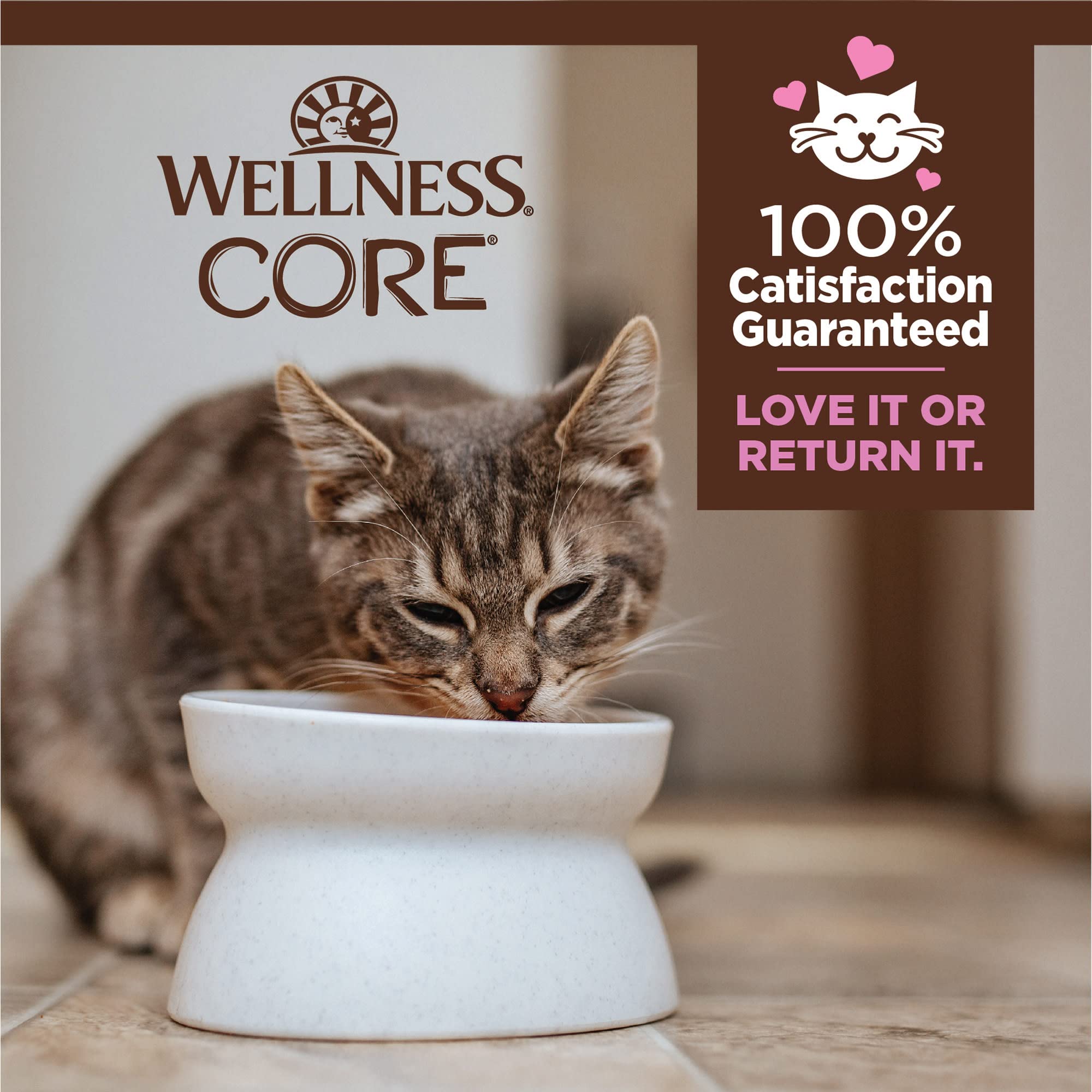 Wellness CORE Tiny Tasters kitten pate with DHA EPA taurine benefits