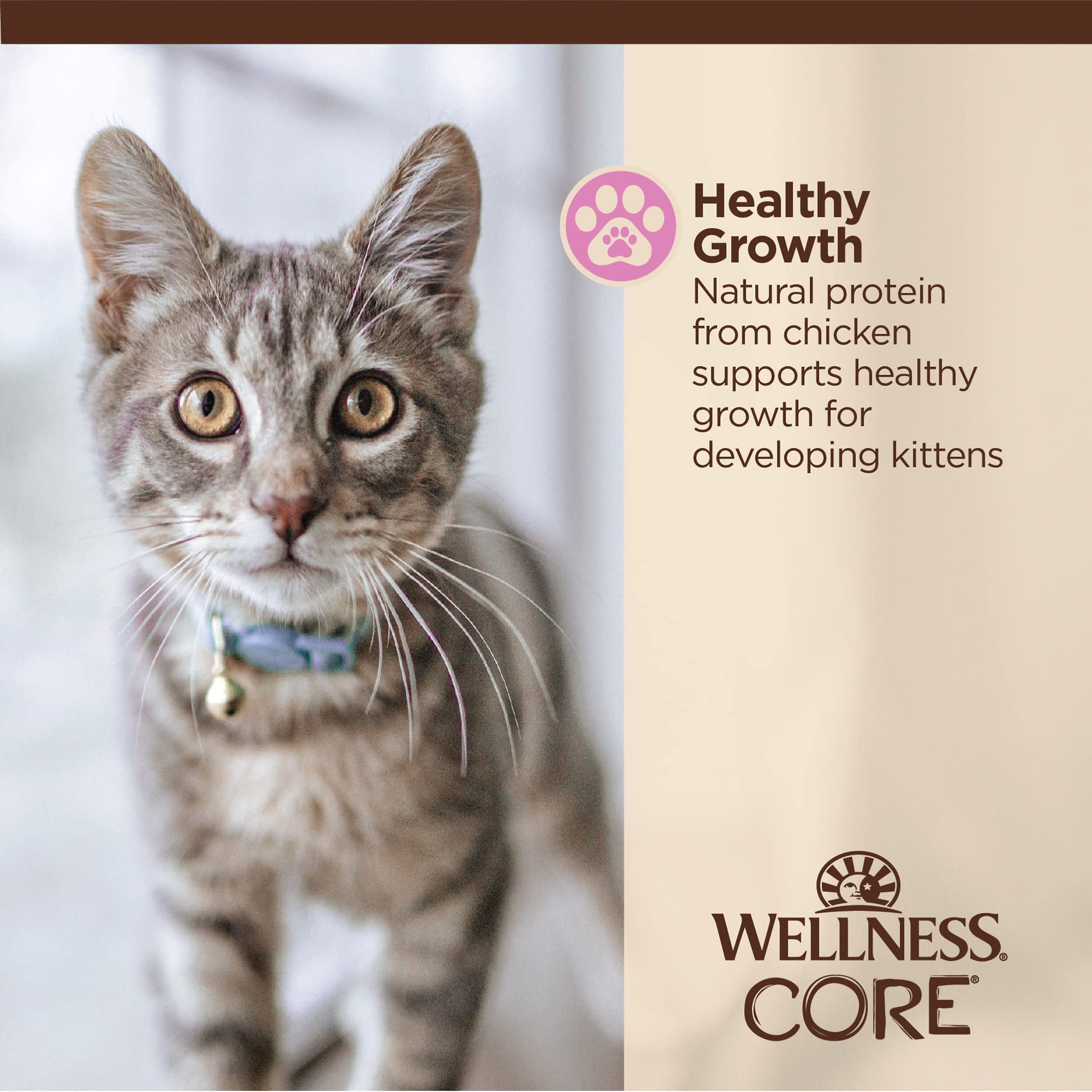 Wellness CORE Tiny Tasters kitten pate hydration from moisture-rich food