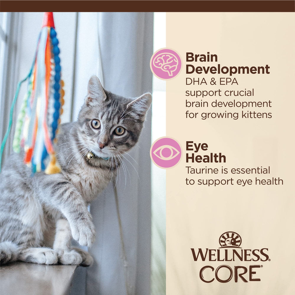 Wellness CORE Tiny Tasters kitten meal-ready pouch in use